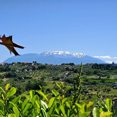 Sui Generis Colle Montesilvano Marina