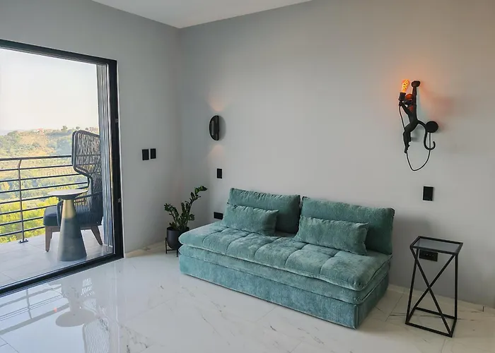 Sui Generis Colle 別荘 *